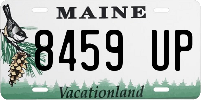 ME license plate 8459UP