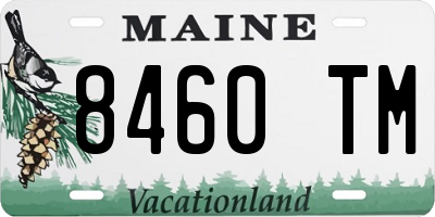 ME license plate 8460TM