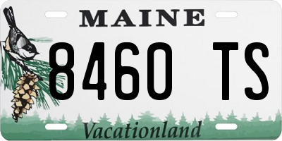 ME license plate 8460TS