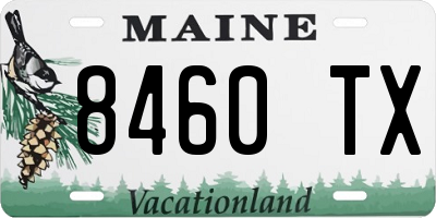 ME license plate 8460TX