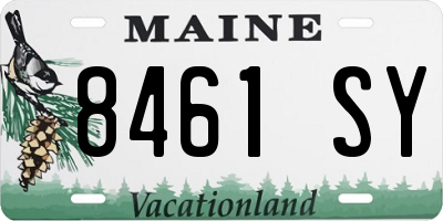 ME license plate 8461SY