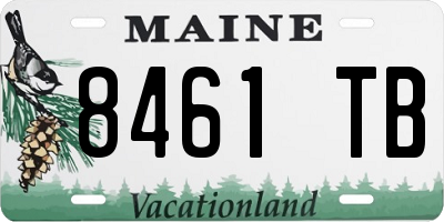 ME license plate 8461TB