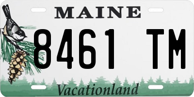 ME license plate 8461TM