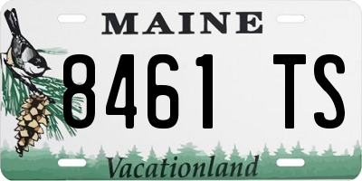 ME license plate 8461TS