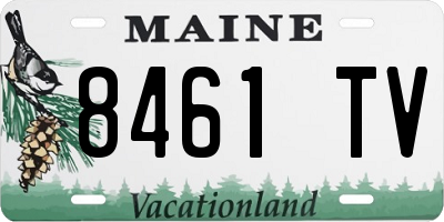 ME license plate 8461TV