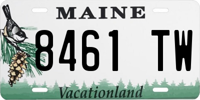 ME license plate 8461TW