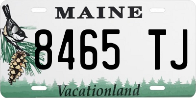 ME license plate 8465TJ
