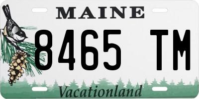 ME license plate 8465TM