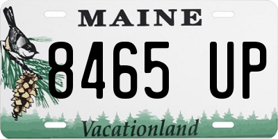 ME license plate 8465UP