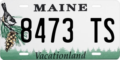 ME license plate 8473TS