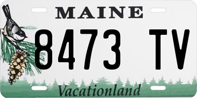 ME license plate 8473TV
