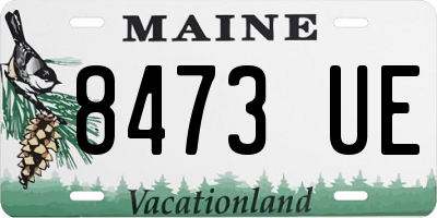 ME license plate 8473UE