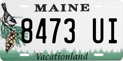 ME license plate 8473UI