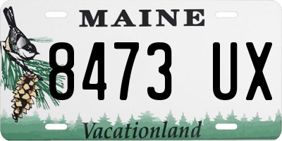 ME license plate 8473UX