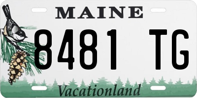 ME license plate 8481TG
