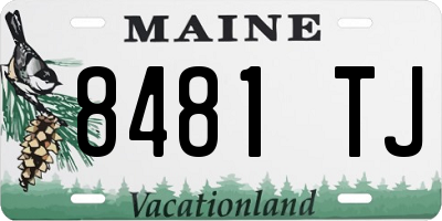 ME license plate 8481TJ