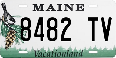 ME license plate 8482TV