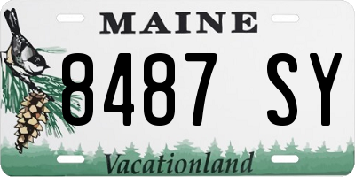 ME license plate 8487SY