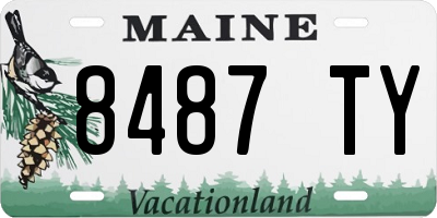 ME license plate 8487TY