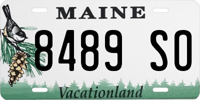 ME license plate 8489SO
