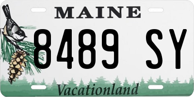 ME license plate 8489SY