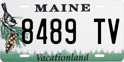 ME license plate 8489TV