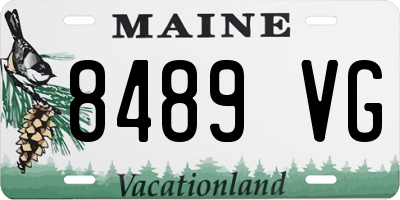 ME license plate 8489VG