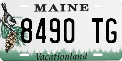 ME license plate 8490TG