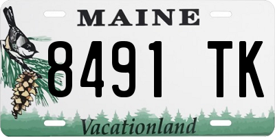 ME license plate 8491TK