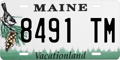 ME license plate 8491TM