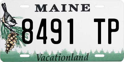 ME license plate 8491TP
