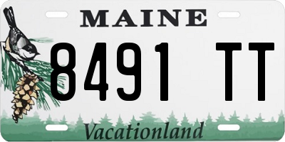 ME license plate 8491TT