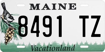 ME license plate 8491TZ
