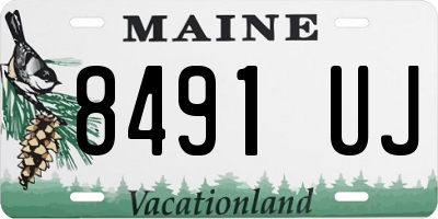 ME license plate 8491UJ