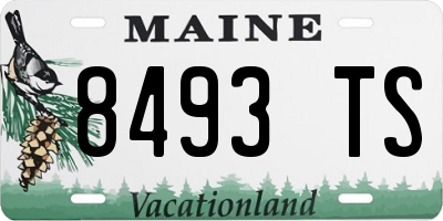 ME license plate 8493TS