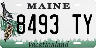 ME license plate 8493TY