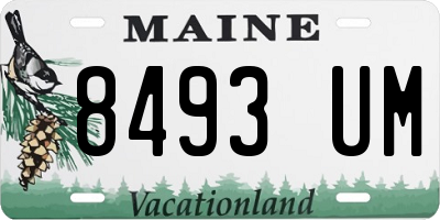 ME license plate 8493UM