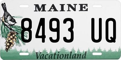 ME license plate 8493UQ