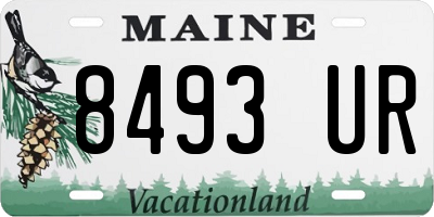 ME license plate 8493UR