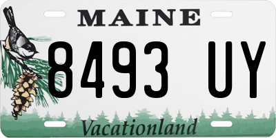 ME license plate 8493UY