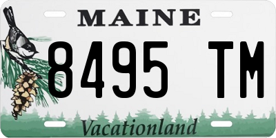 ME license plate 8495TM