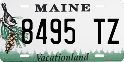 ME license plate 8495TZ