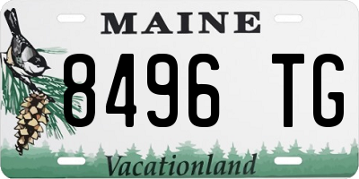 ME license plate 8496TG