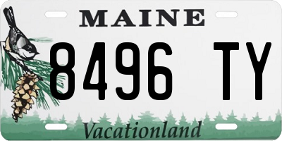 ME license plate 8496TY