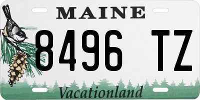 ME license plate 8496TZ