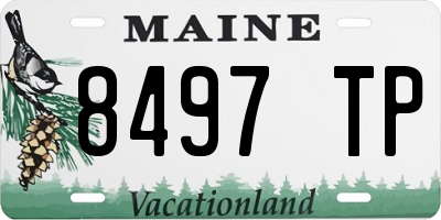 ME license plate 8497TP