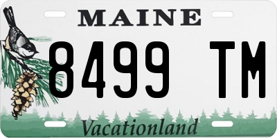 ME license plate 8499TM