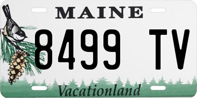 ME license plate 8499TV