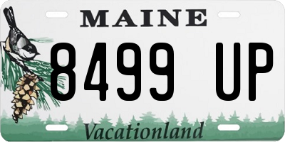 ME license plate 8499UP