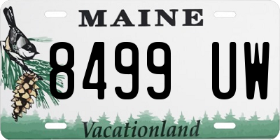 ME license plate 8499UW